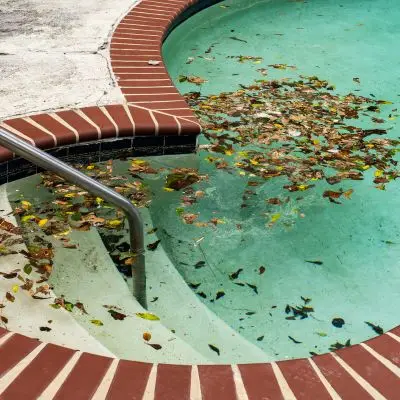 image showing a swimming pool with leaves in it that some pool owners try to use cheap pool covers to stop the leaves from falling in